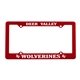 Economy License Frame