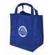 Big Grocer - 15 x 13 x 10 Tote