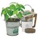 Mini Pail Blossom Kit
