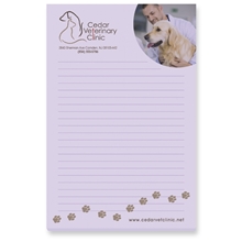 Souvenir(R) Sticky Note(TM) 4 x 6 Pad, 50 sheet